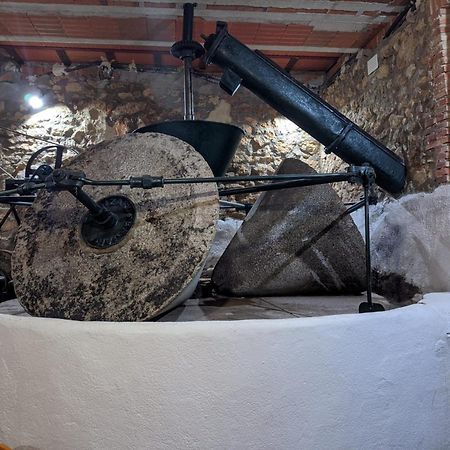 Guijo de Santa BárbaraLa Almazara Del Guijoアパートメント エクステリア 写真